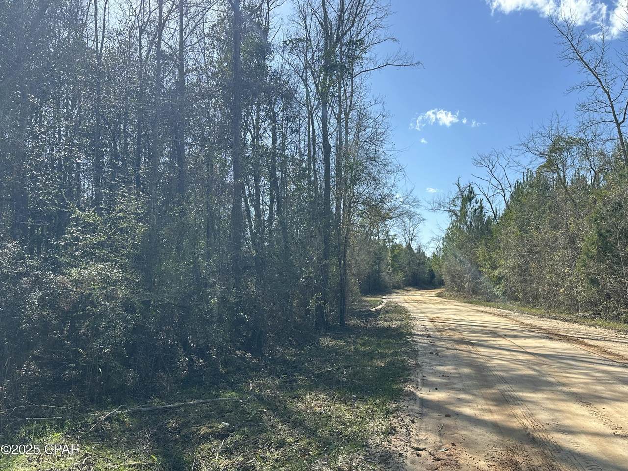 Tract#6317 Harris Stevenson Road - Photo 1