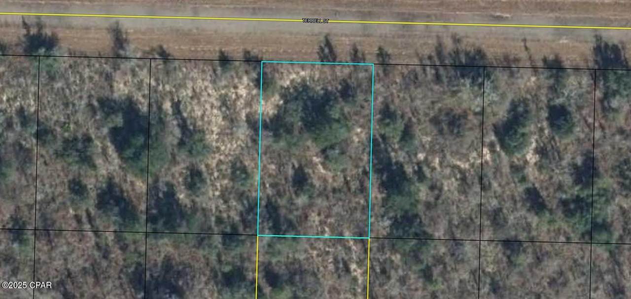 Lot 11 Terrell Street - Photo 1