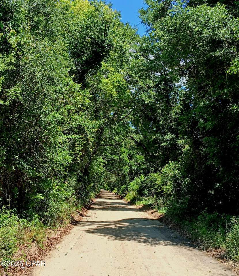 TBD Wolf Pond Road - Photo 1