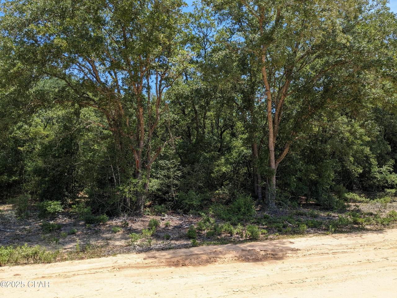 0 Cherry Circle - Photo 1