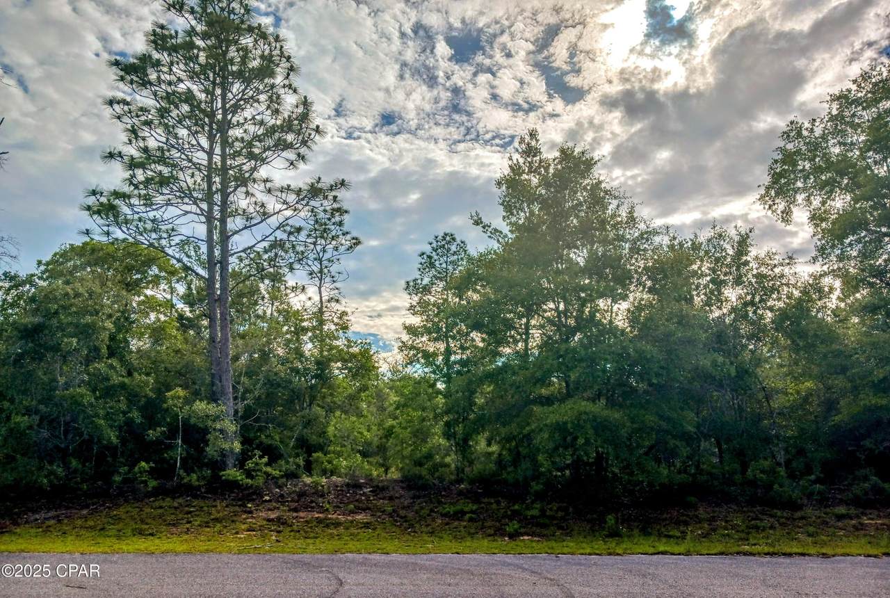 Lot 19 Velvet Drive - Photo 1