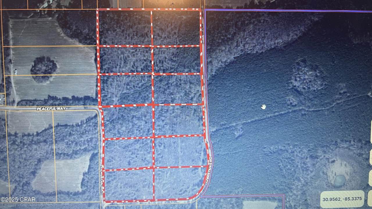 00 Christmas Road - Photo 1