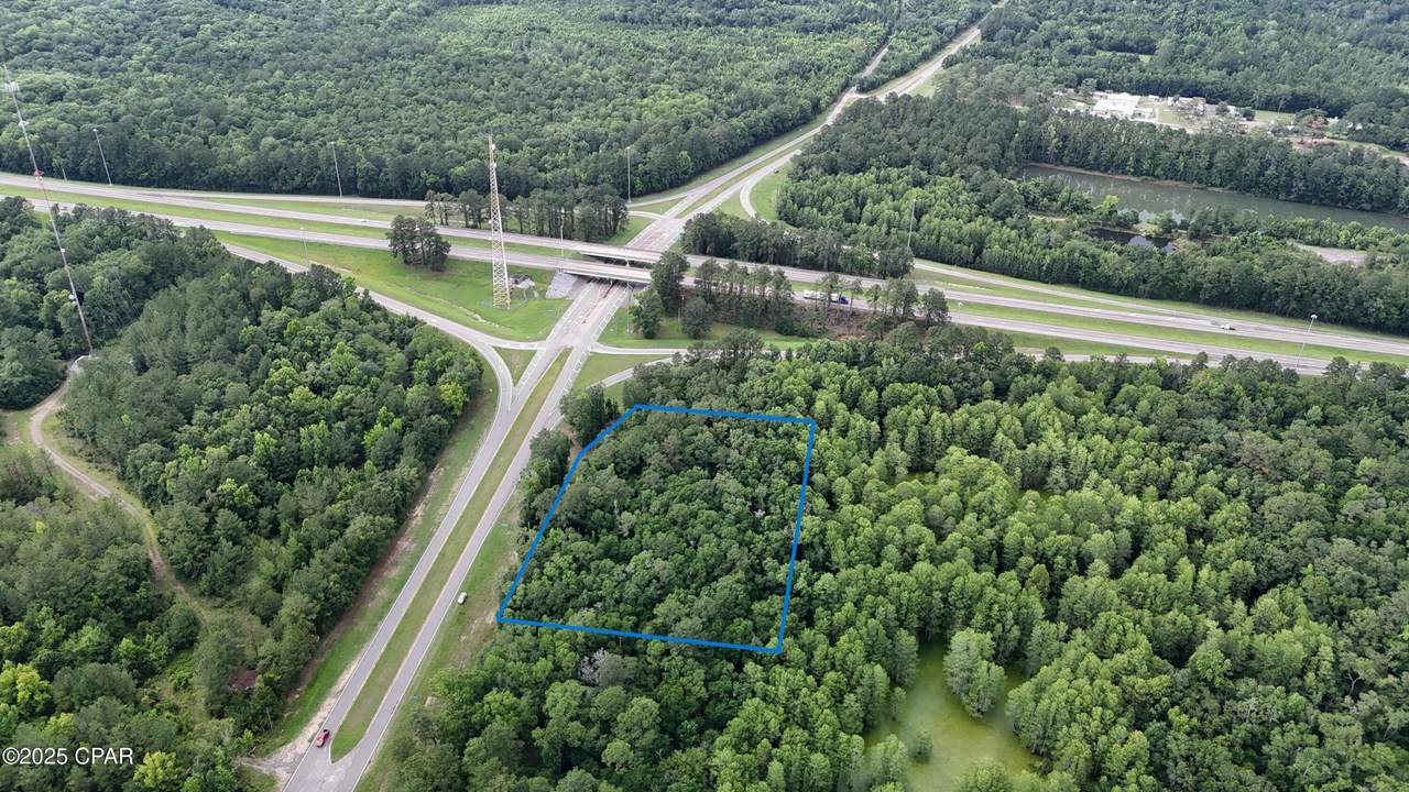 TBD Pate Pond Road - Photo 1