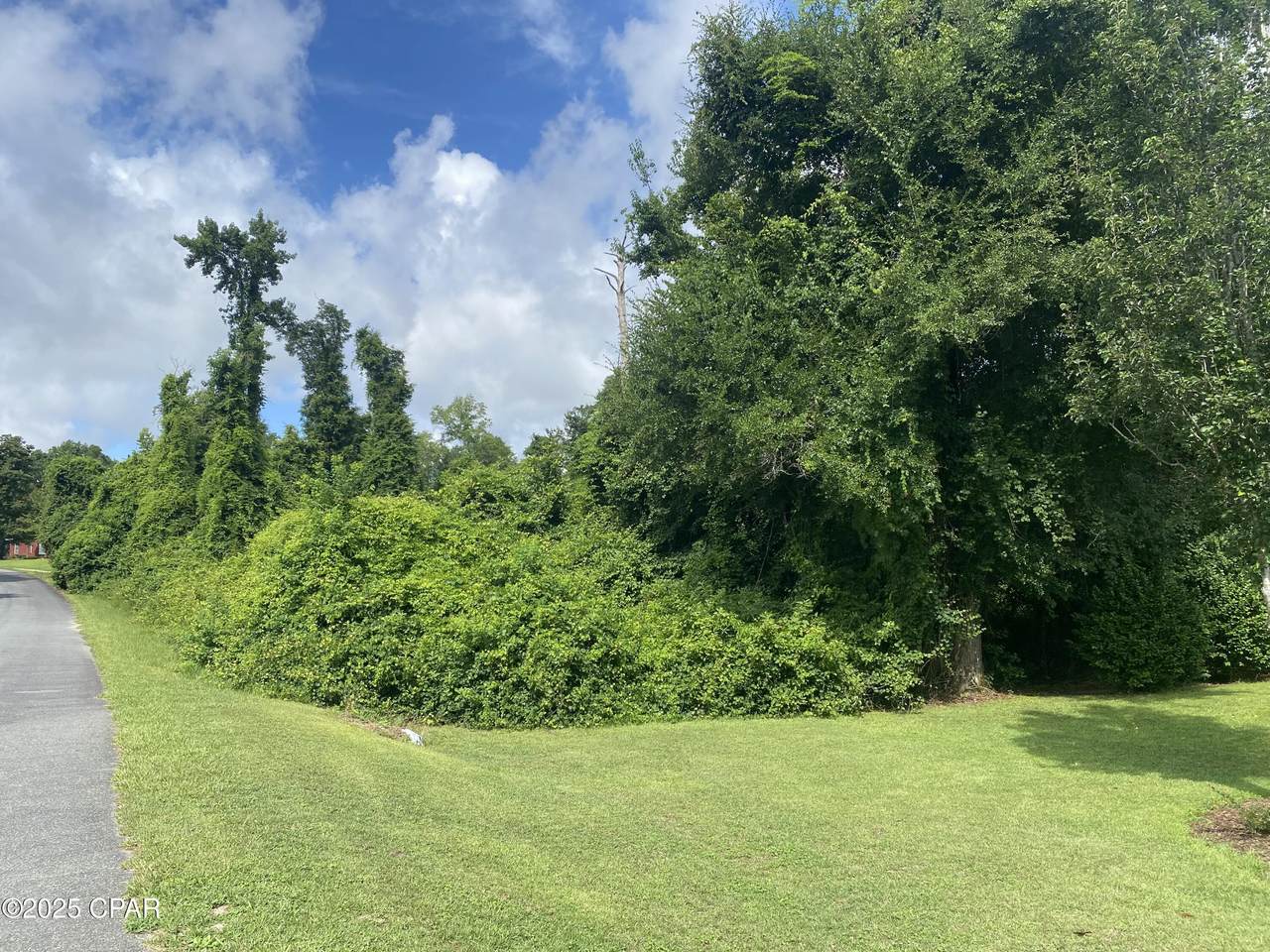 0000 Magnolia Blossom Lane - Photo 1