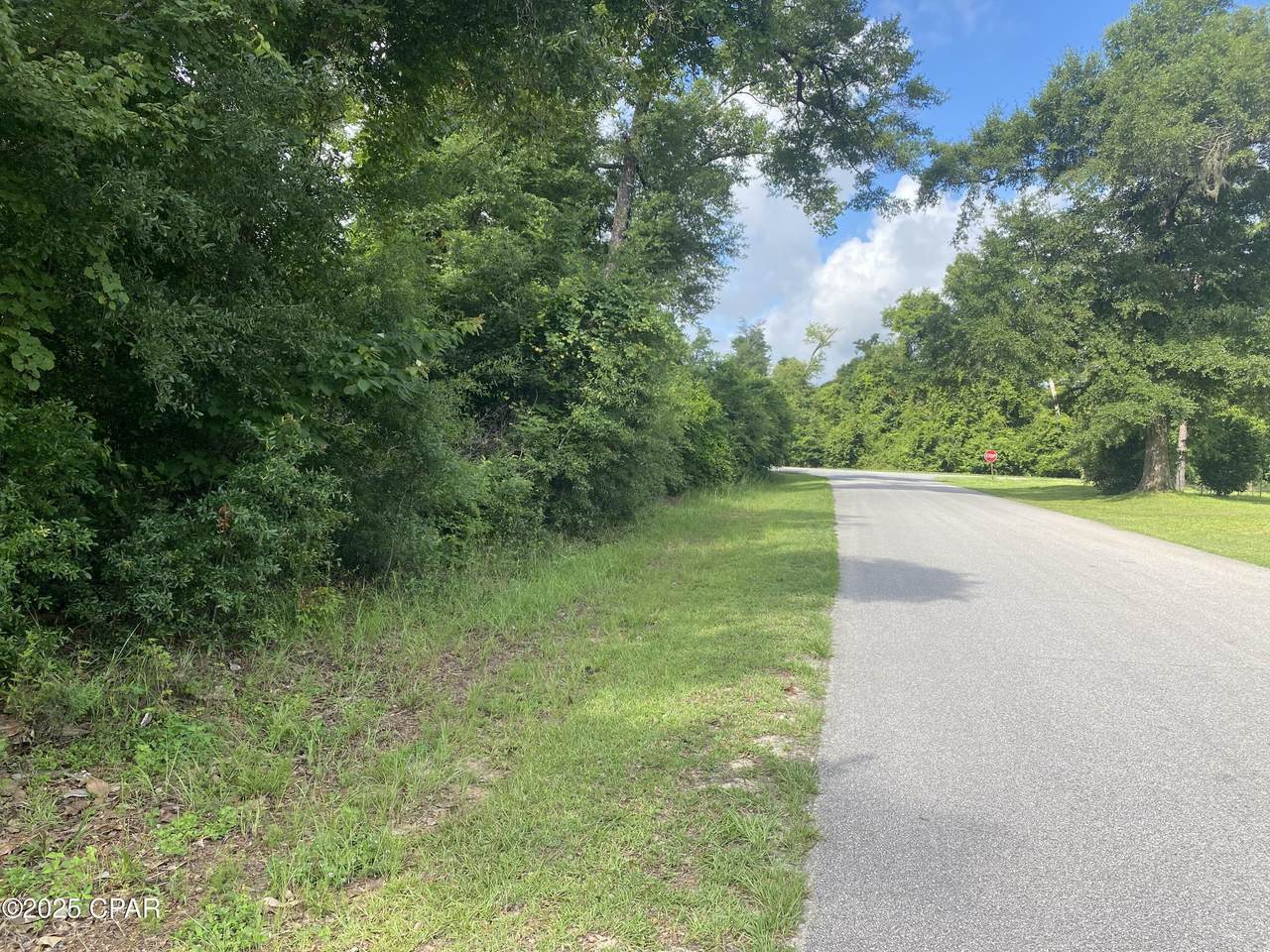 0000 Oak Drive - Photo 1