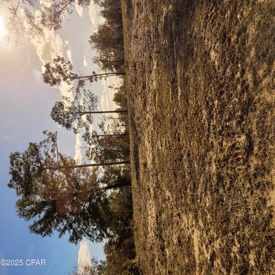 TBD Sunny Hills Boulevard - Photo 1