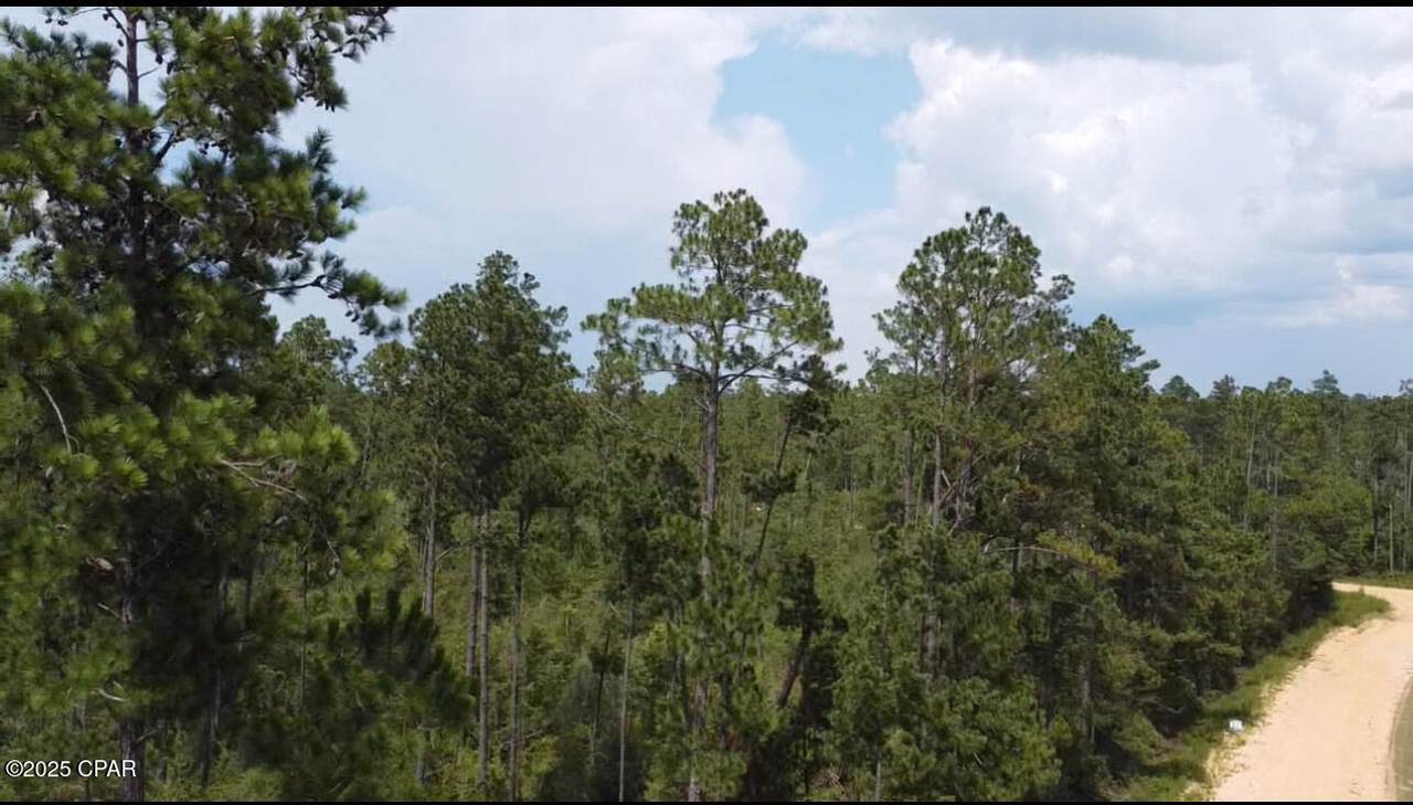 0 Black Hills Street - Photo 1