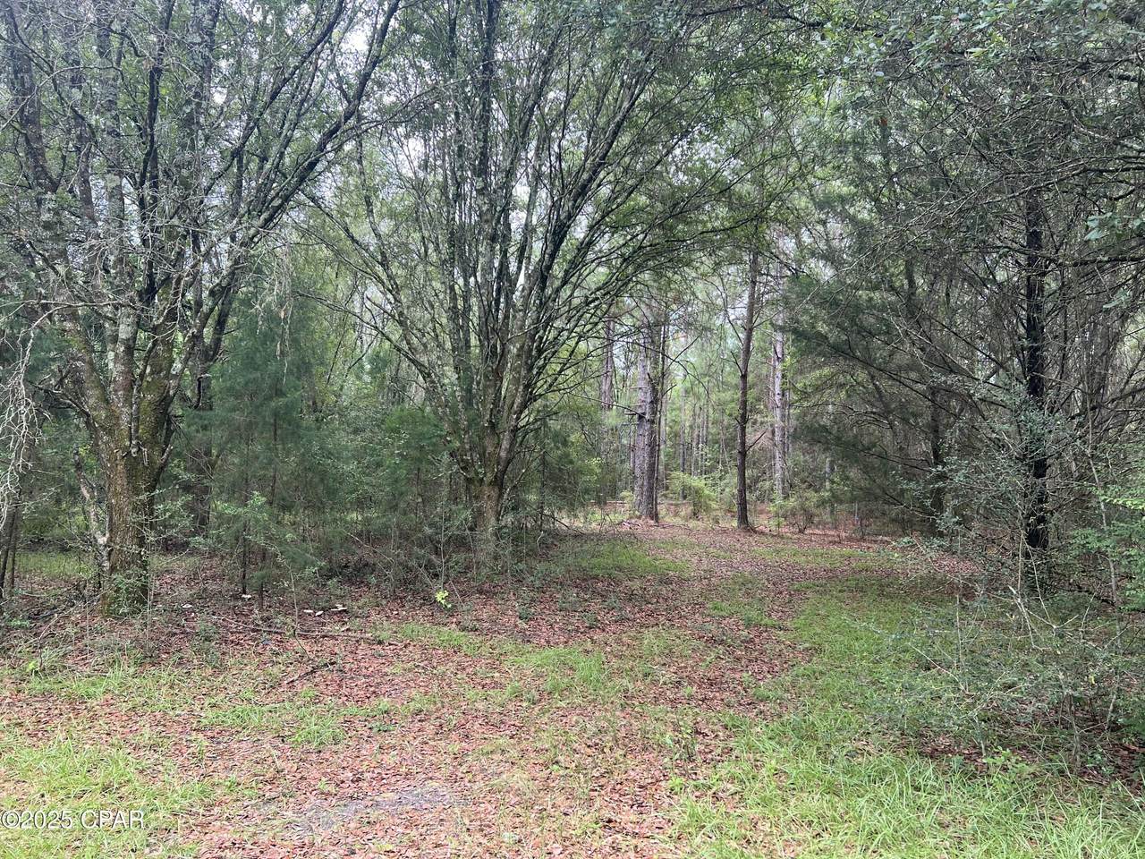 1680 Franks Lane - Photo 1