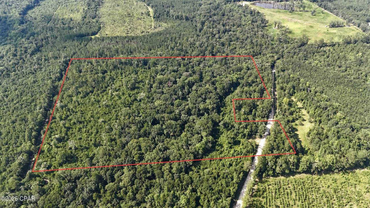37+Acres Ten Mile Rd - Photo 1