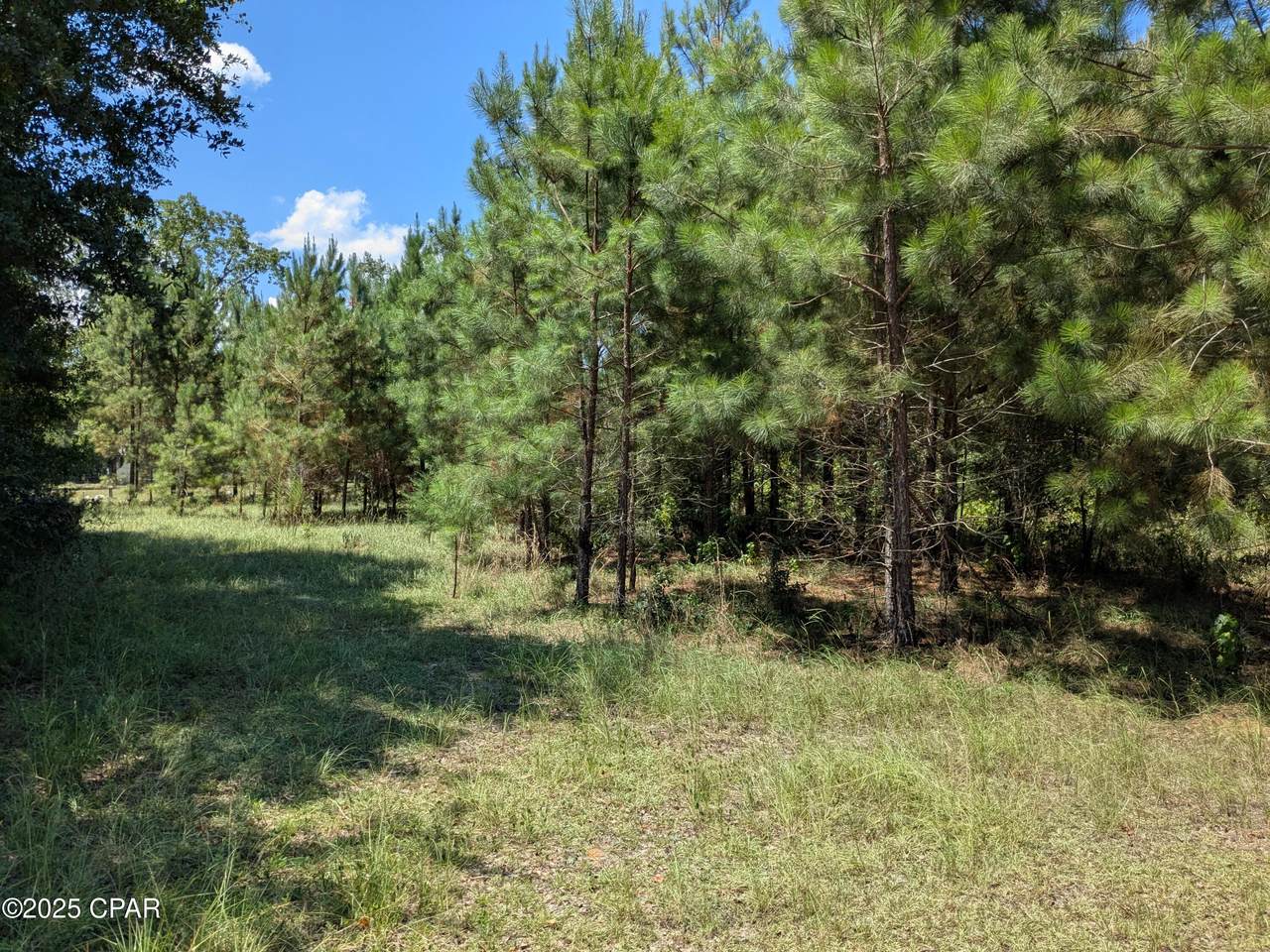 0 Carters Mill Road - Photo 1