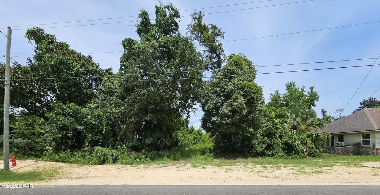 Lot 11 Everitt Avenue - Photo 1