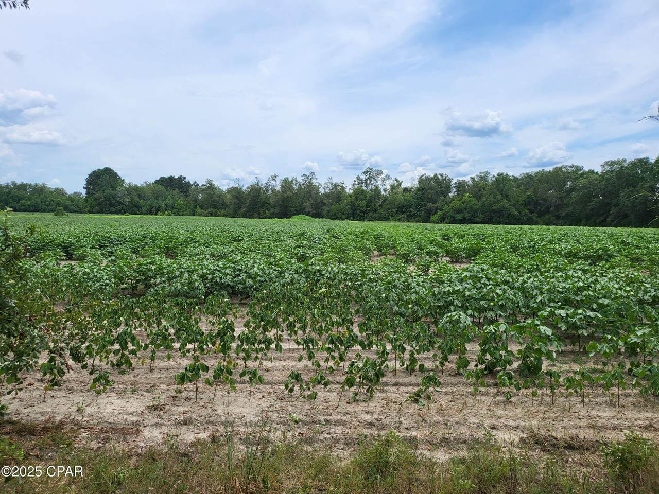 000 Joiner Road - Photo 1