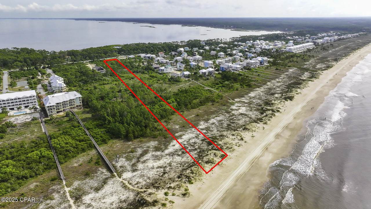 TBD Cape San Blas Road - Photo 1