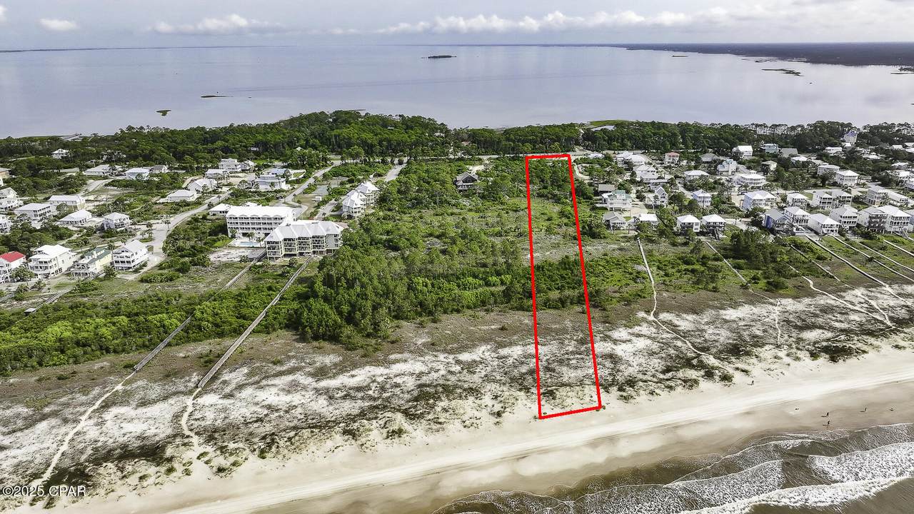 TBD Cape San Blas Road - Photo 1
