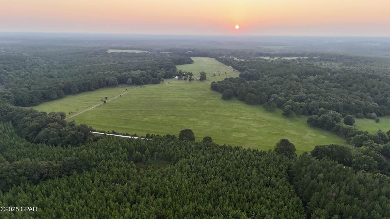 8645 Moores Mill Creek Road - Photo 1