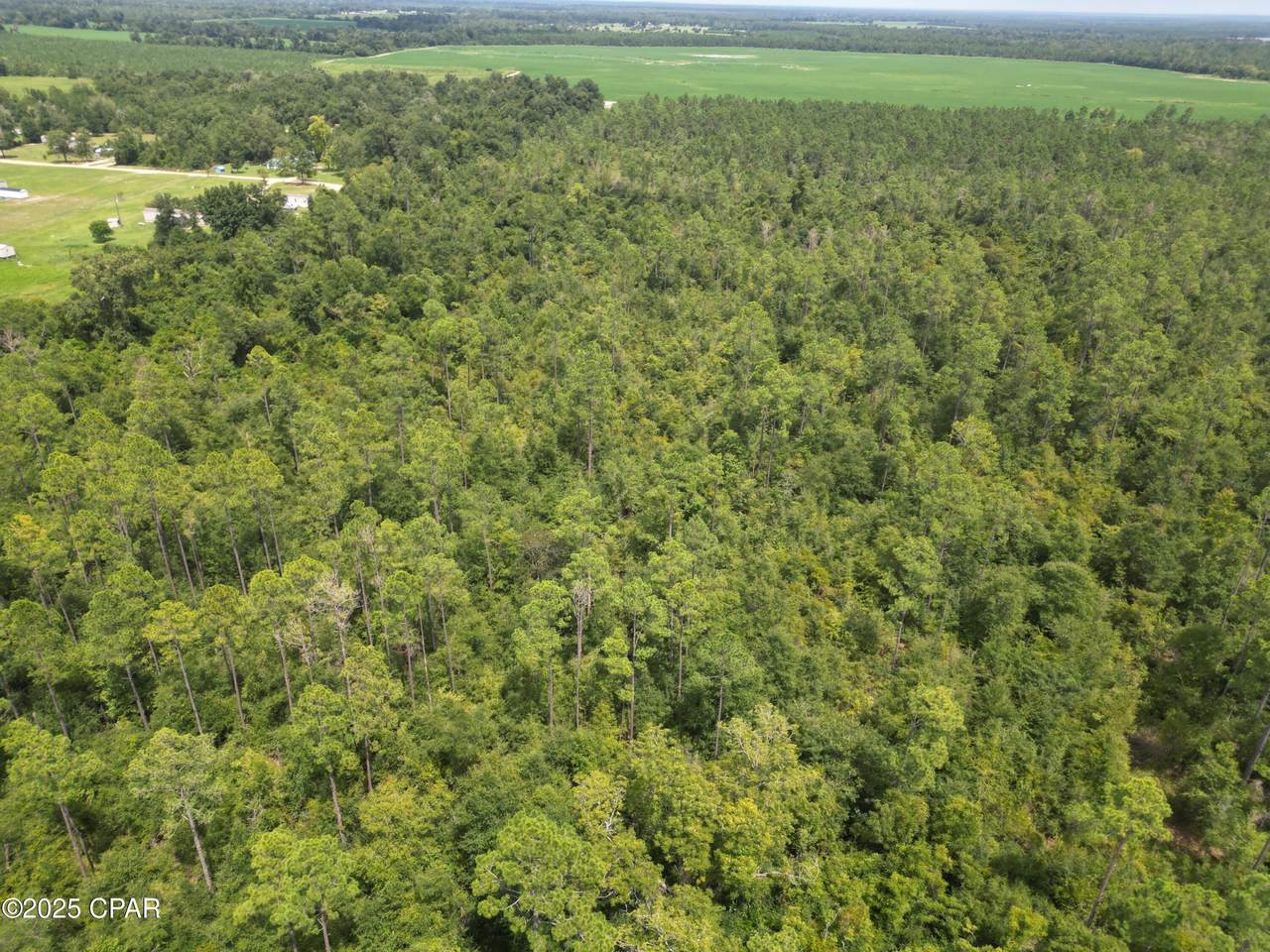 0000 Lot 9 Calhoun Road Road - Photo 1