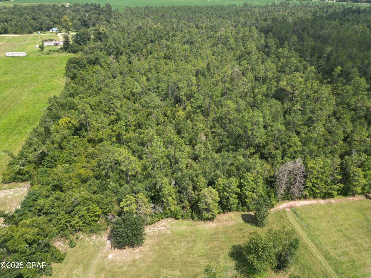 0000 Lot 10 Calhoun Road - Photo 1