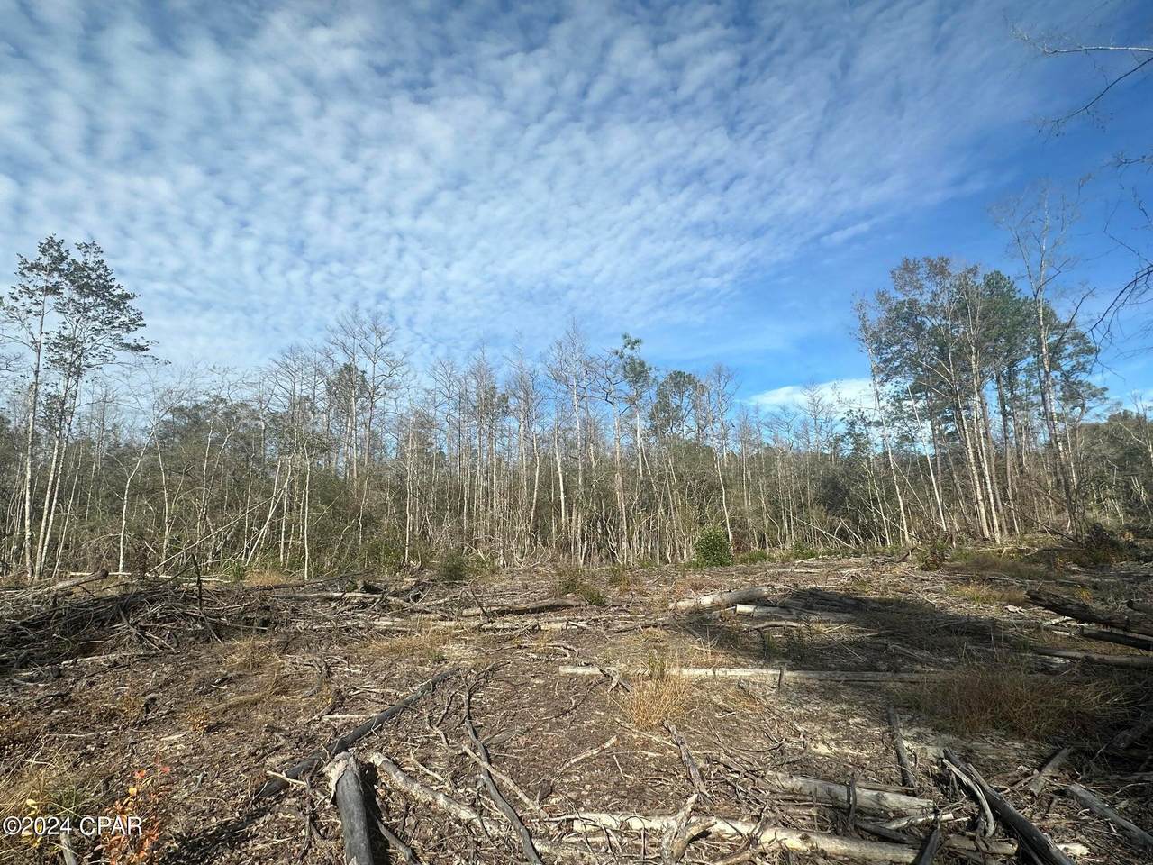 Tract 6331 Sellers Road - Photo 1