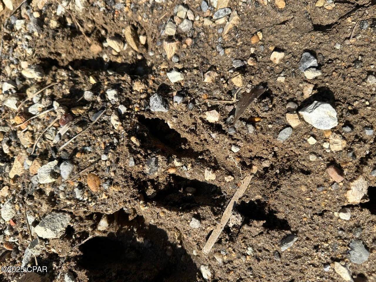 Tract#6402 Chance Road - Photo 1