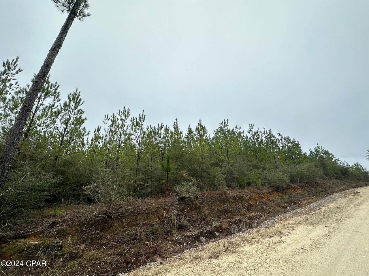 Tract 6418 Mattox Springs Road - Photo 1