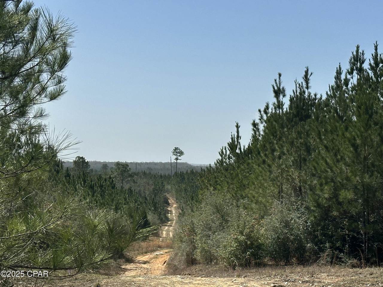 Tract#6416 S Douglas Ferry Road - Photo 1