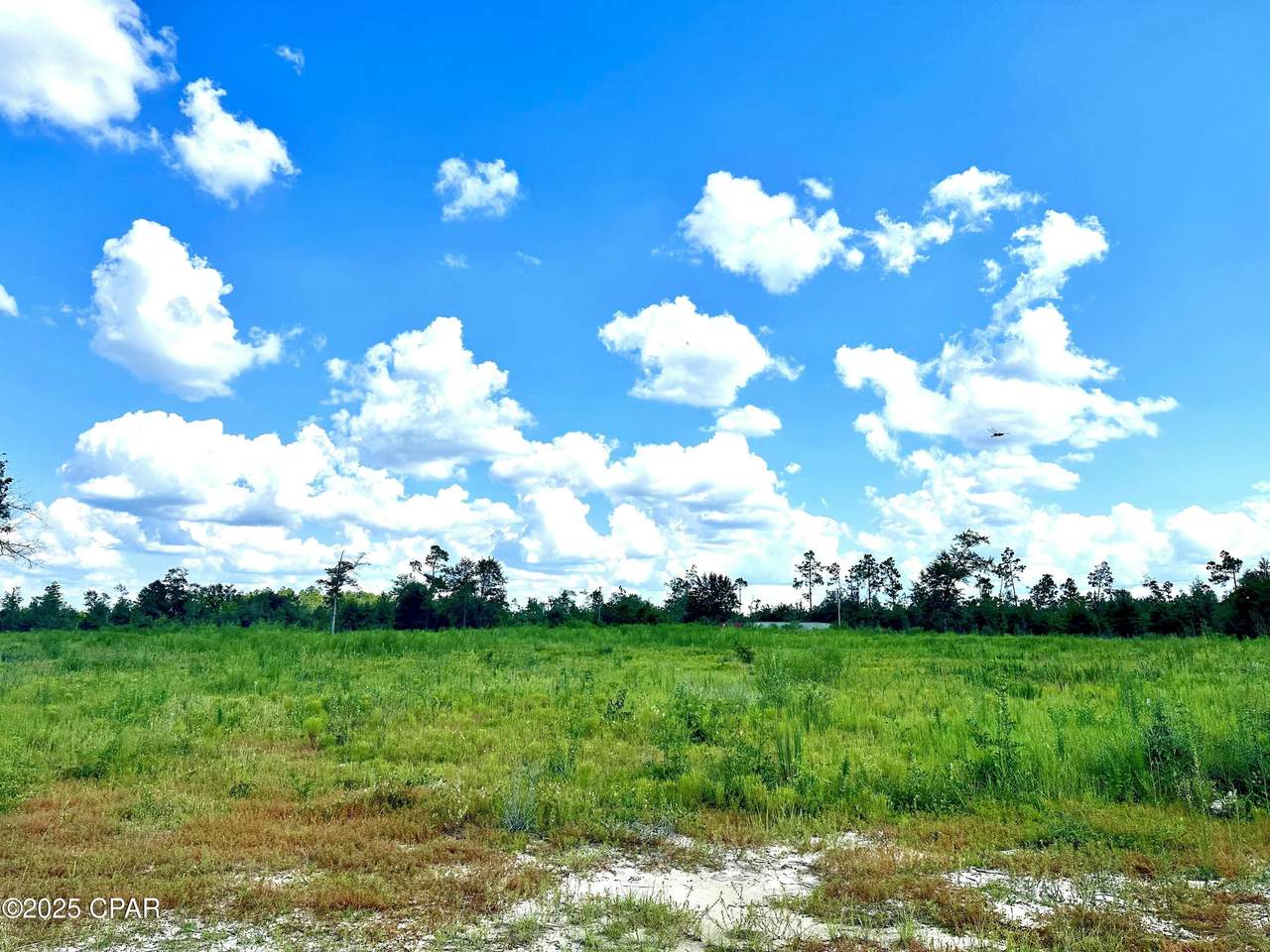 12810 Hwy 231 - Photo 1