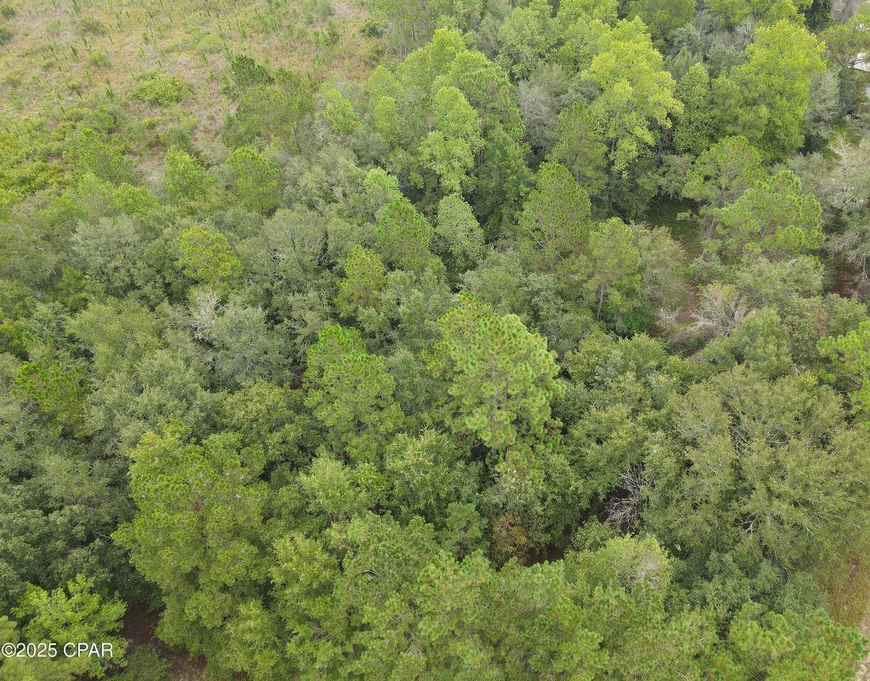 0 Bryerwood Lane - Photo 1