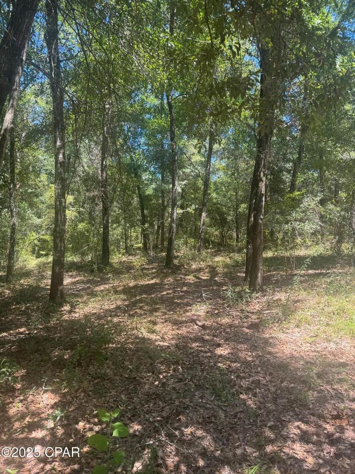 00 Dove Court - Photo 1