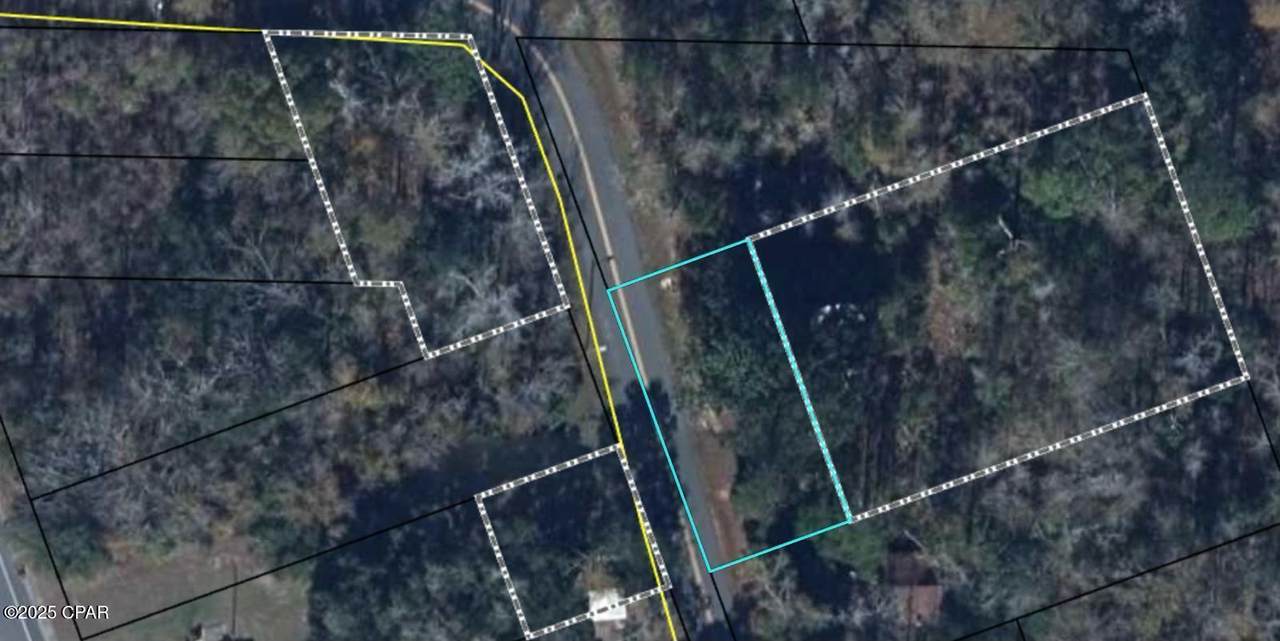 517 Gadsden Street - Photo 1