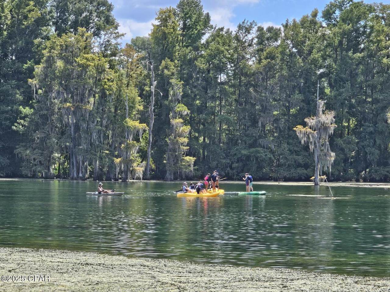 4918 Flynt Drive - Photo 1