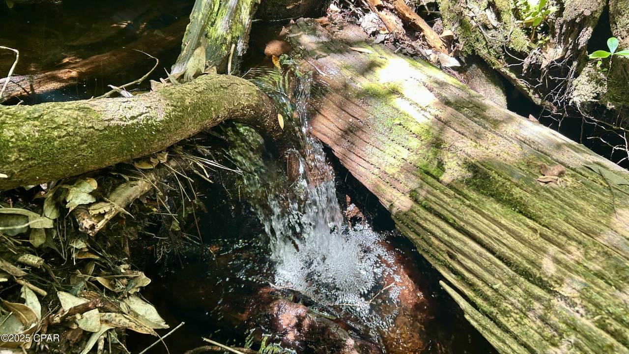 4264 Cleveland Road - Photo 1