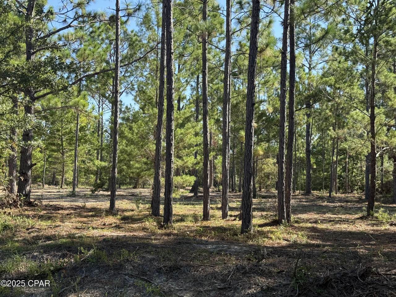 https://bt-photos.global.ssl.fastly.net/panamacity/1280_boomver_1_778859-2.jpg