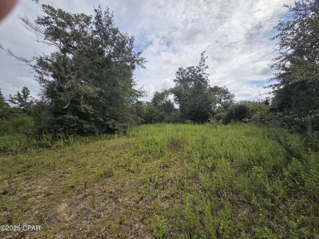 7215 Diane Lane - Photo 1