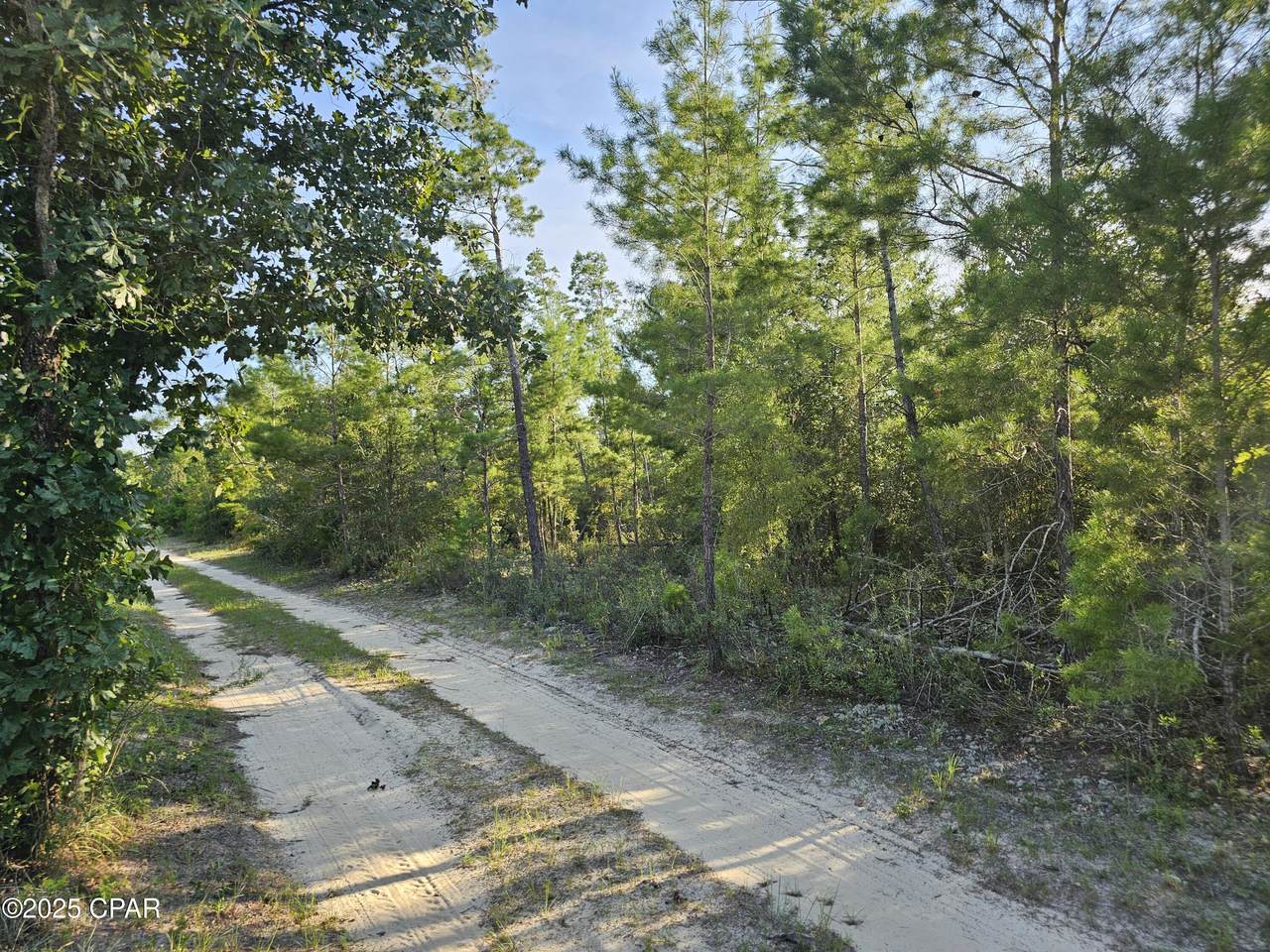 https://bt-photos.global.ssl.fastly.net/panamacity/1280_boomver_1_779024-2.jpg