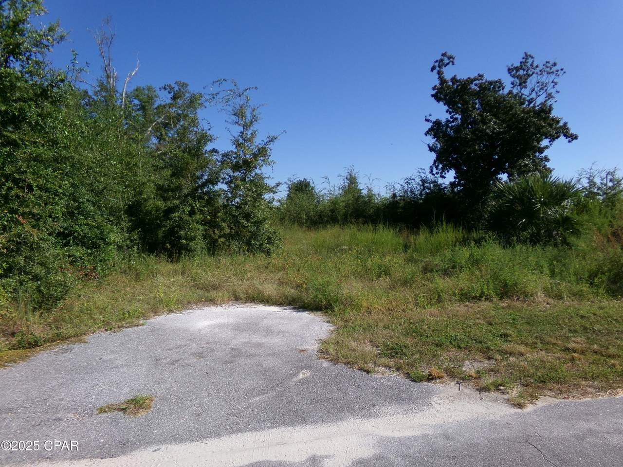 00 Whitaker Street - Photo 1