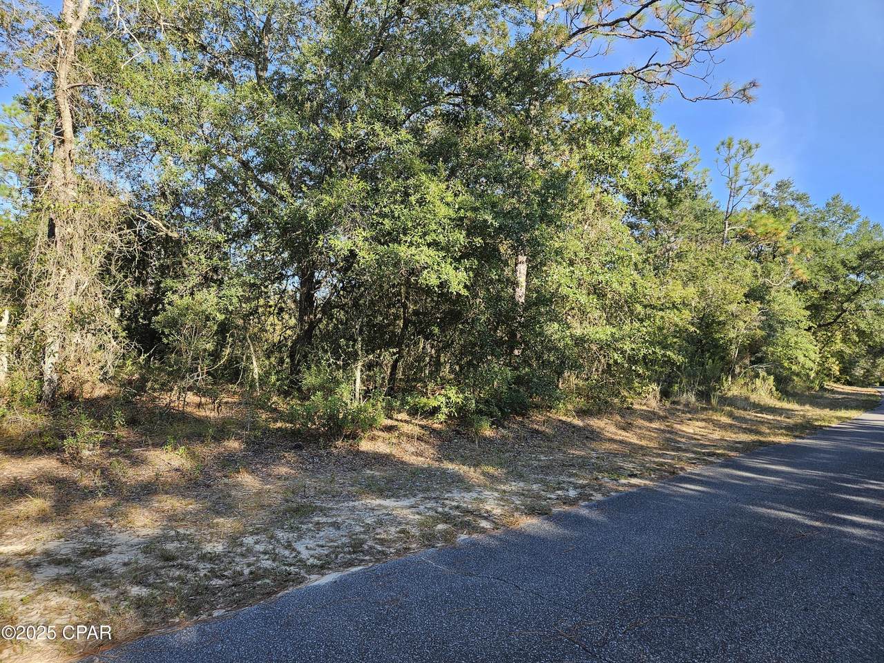 B-216 Quail Ridge Drive - Photo 1