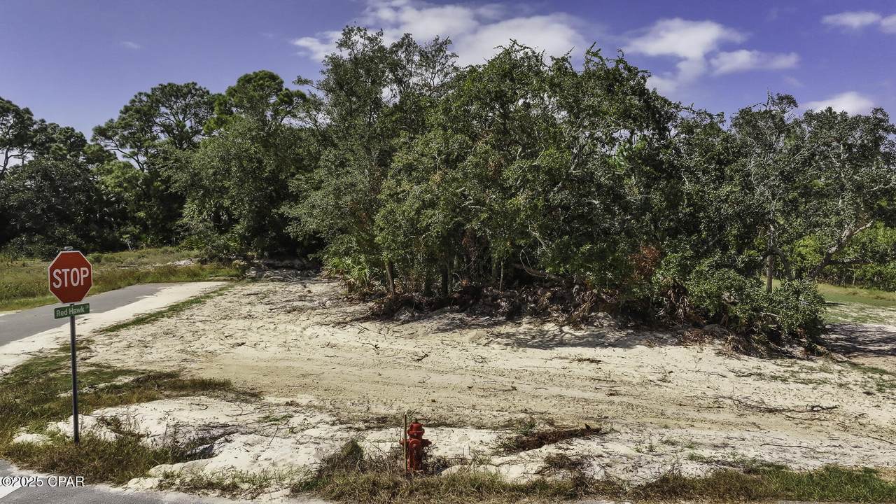 Lot 11 Sea Mist Drive - Photo 1