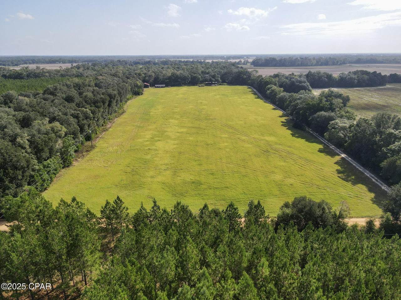 0000 Amtrex - Photo 1