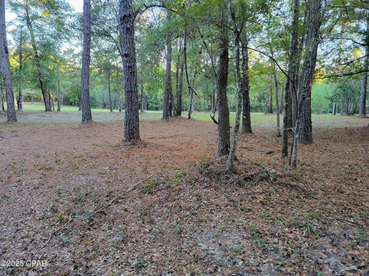 0000 Hardwood Lane - Photo 1