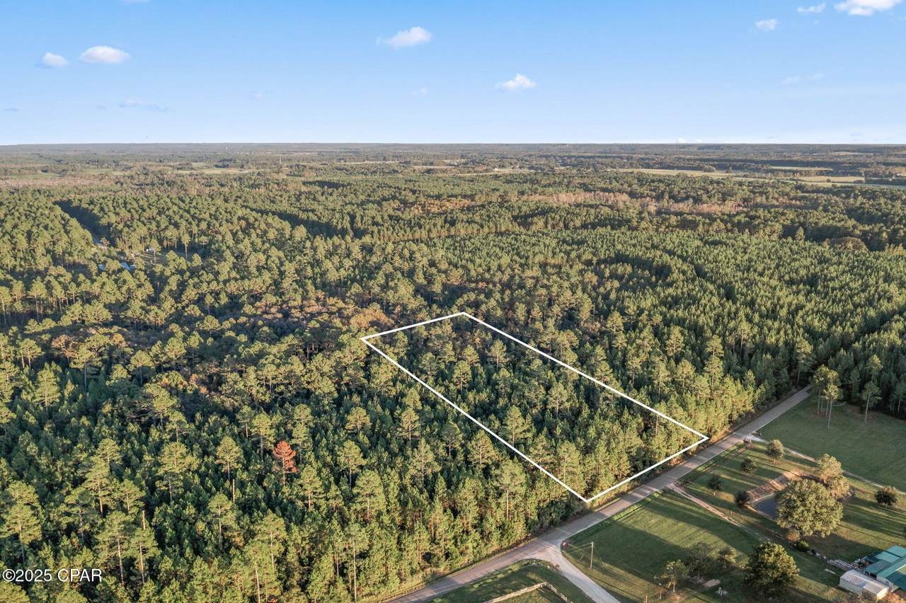 XXX Parrish Still Road - Photo 1