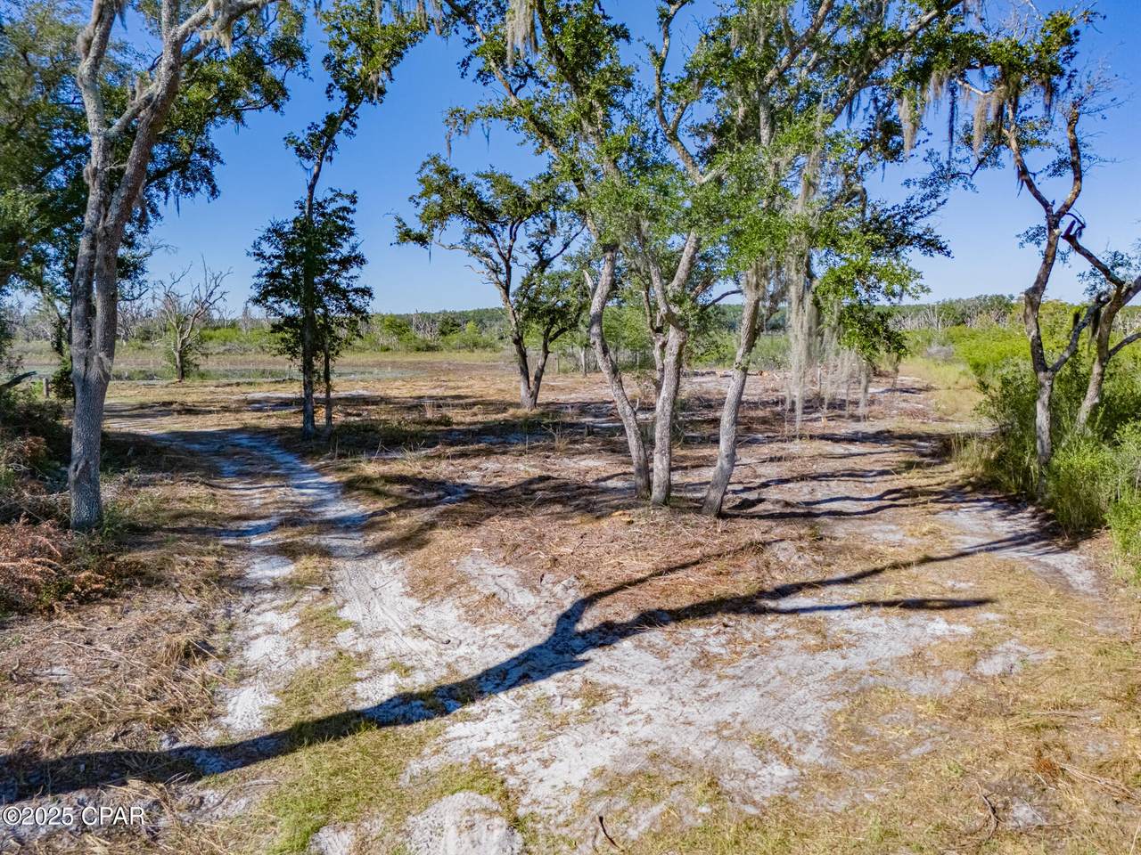 00 Little Wages Road Road - Photo 1