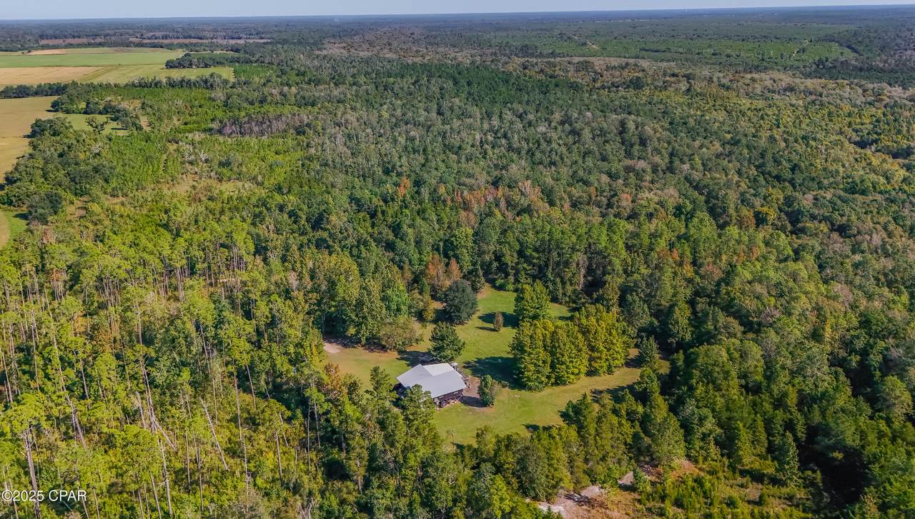 16540 County Road 379A - Photo 1