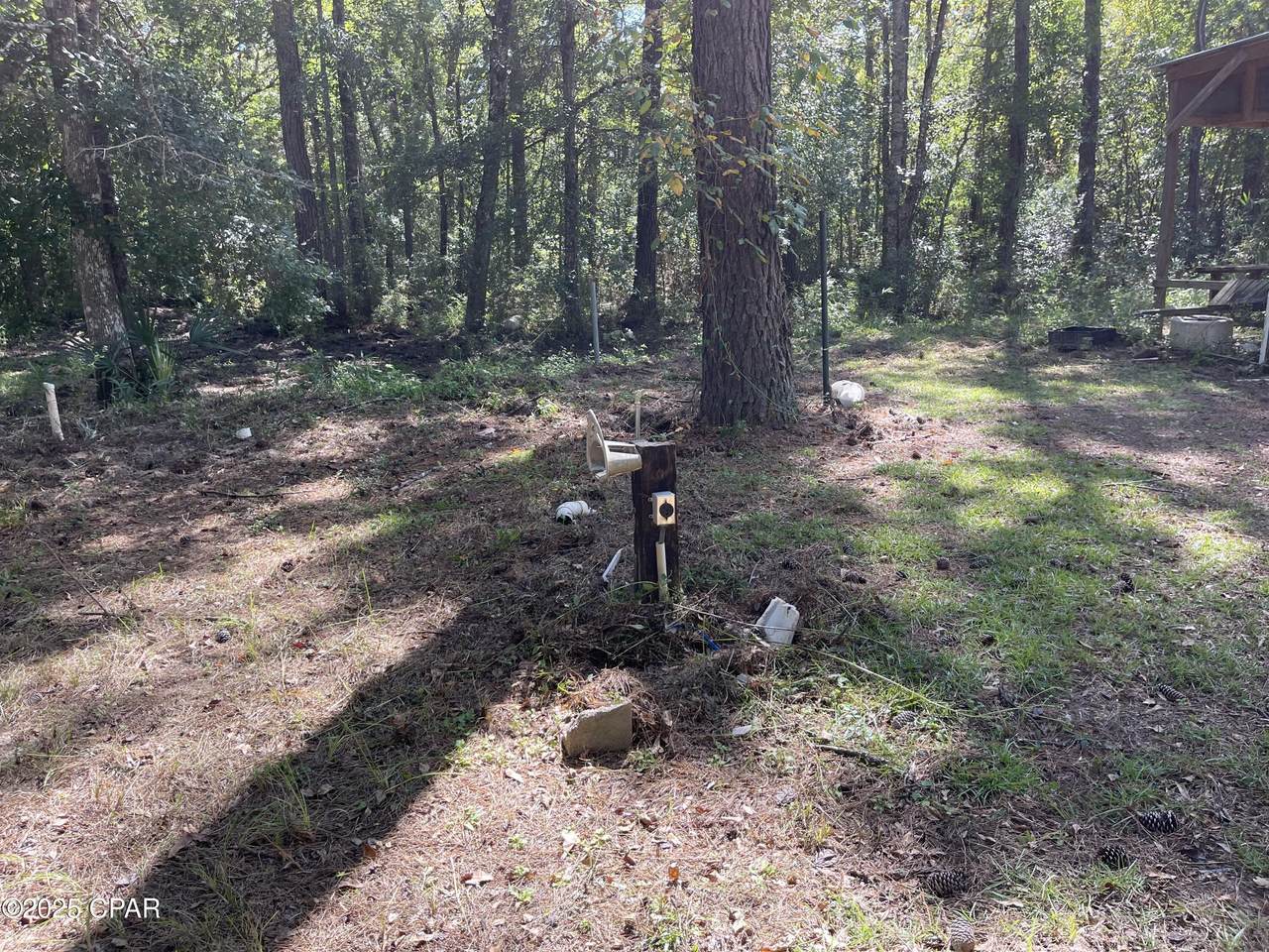 Lot 5 Smokehouse Lake Road - Photo 1