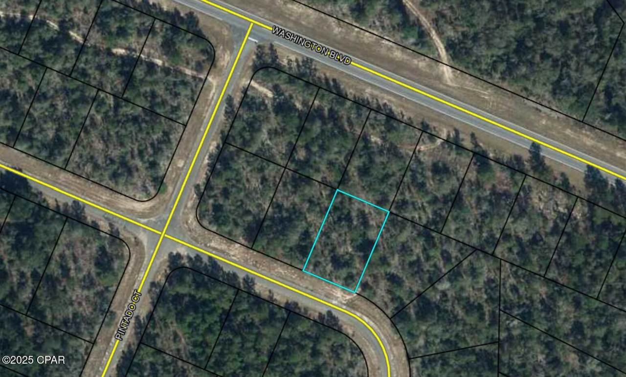 Loy 16 Ardenwood Drive - Photo 1