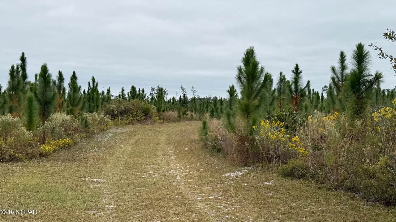 https://bt-photos.global.ssl.fastly.net/panamacity/1280_boomver_1_781201-2.jpg