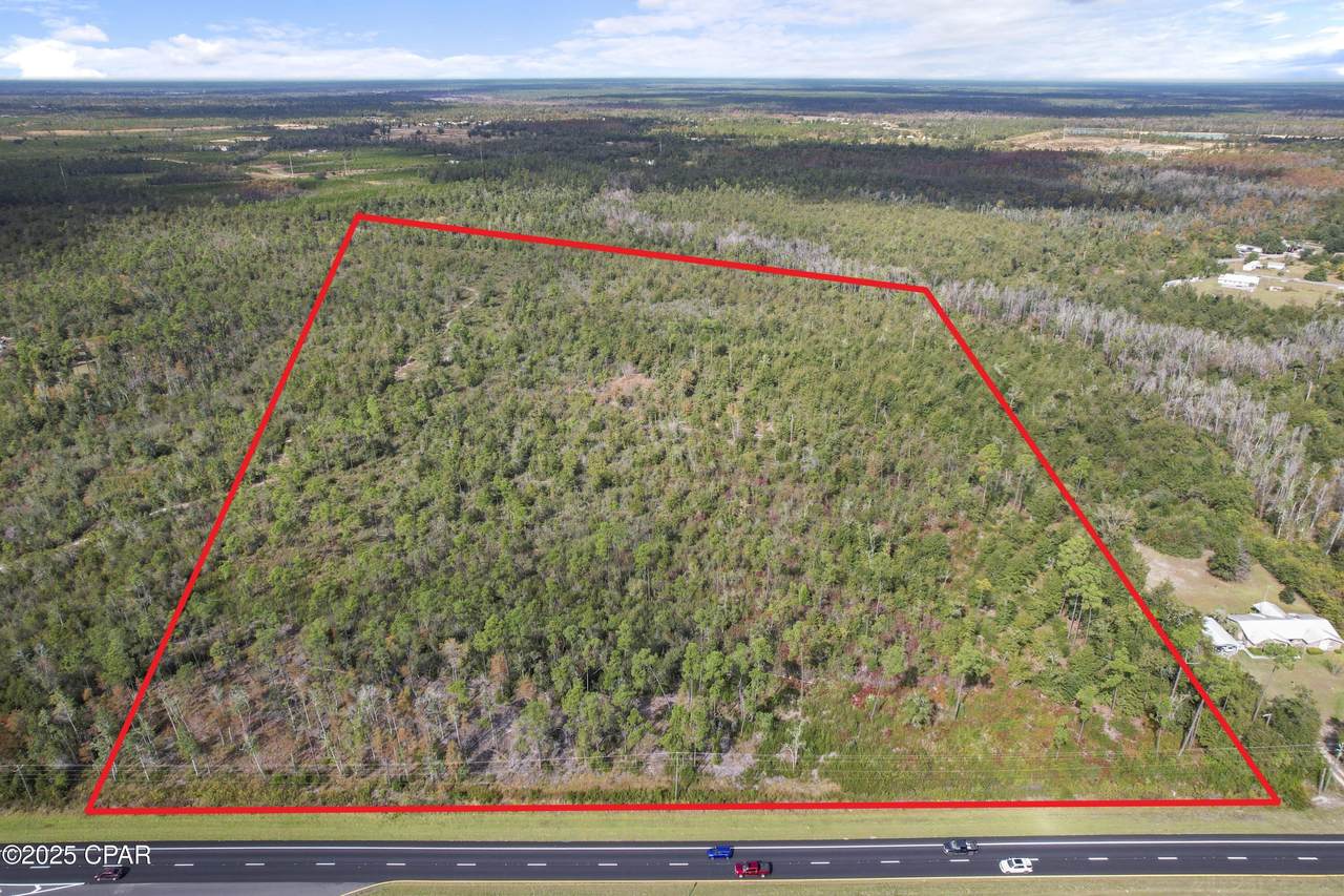 0000 Hwy 231 - Photo 1