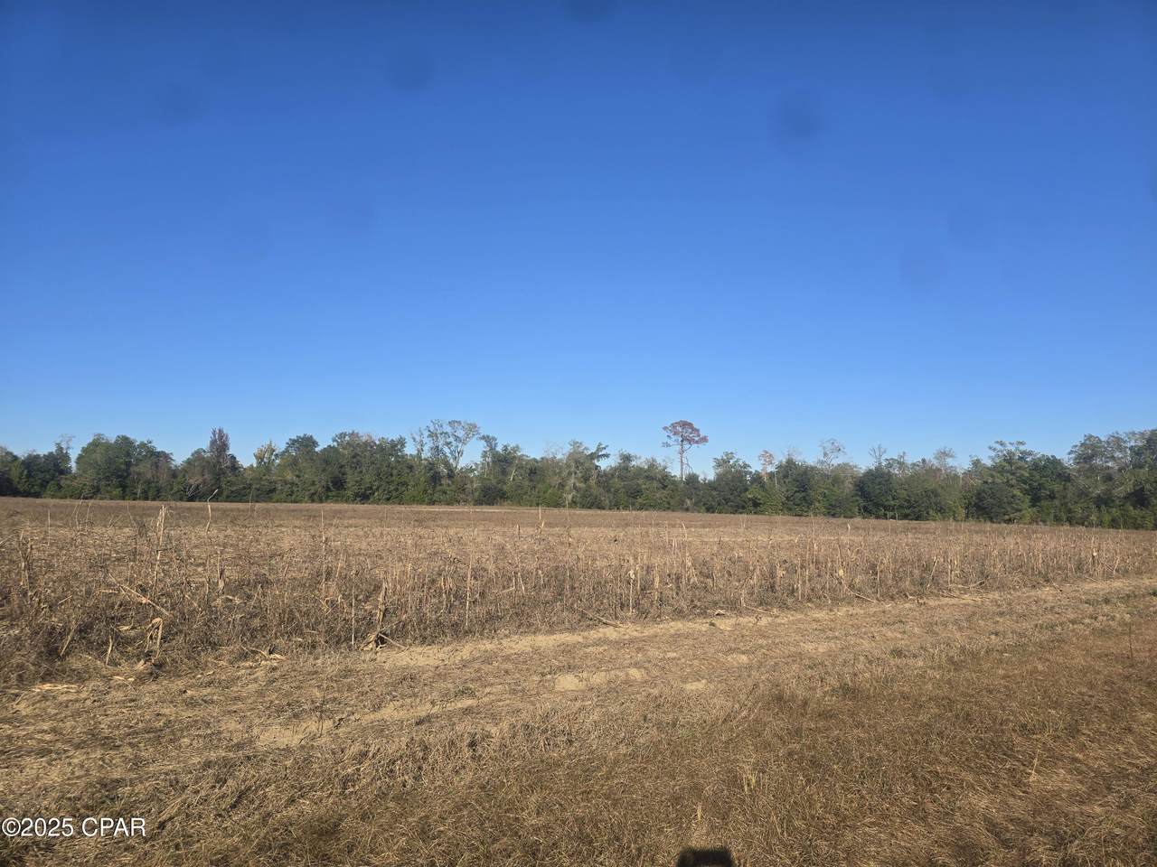 https://bt-photos.global.ssl.fastly.net/panamacity/1280_boomver_1_781638-2.jpg
