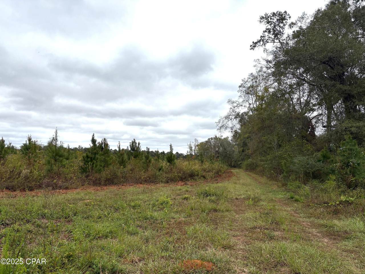 https://bt-photos.global.ssl.fastly.net/panamacity/1280_boomver_1_782134-2.jpg