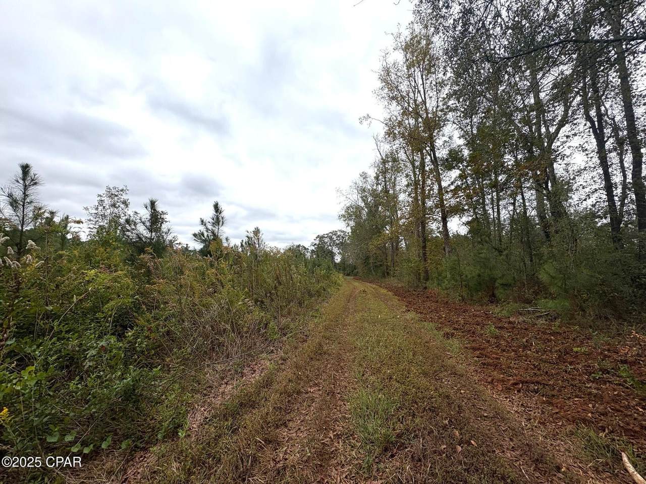 https://bt-photos.global.ssl.fastly.net/panamacity/1280_boomver_1_782134-2.jpg