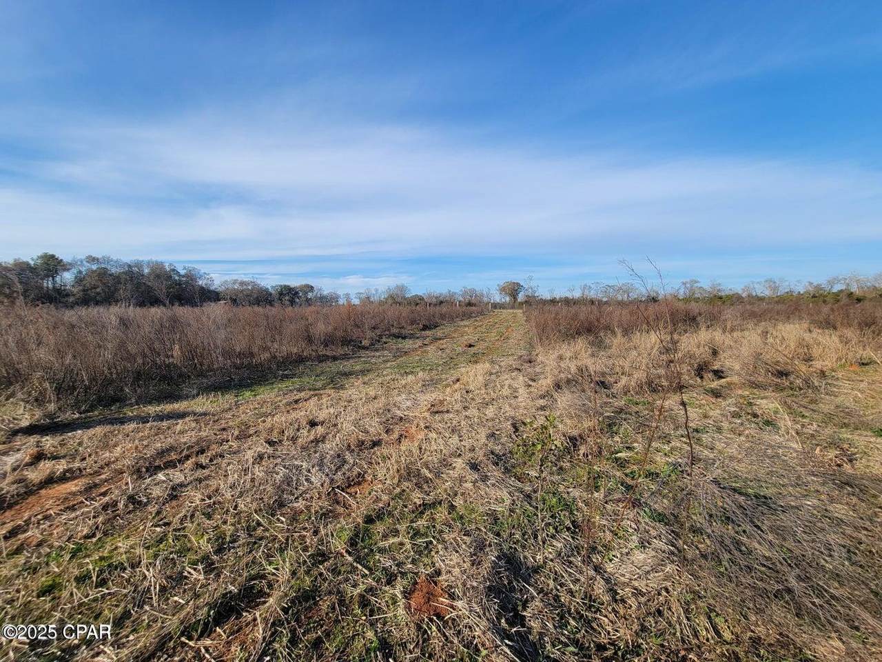 TBD Gainer Cemetery Road - Photo 1